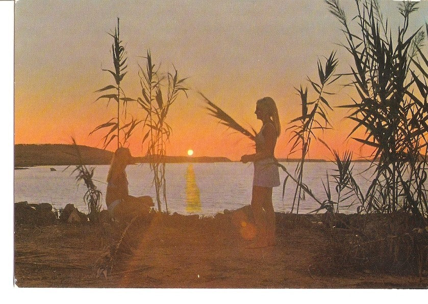 Postal 035116 : San Antonio Ibiza (España). Puesta de sol