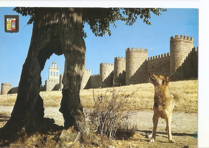 Postal 035214 : Avila. Murallas