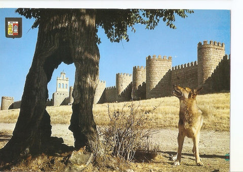 Postal 035214 : Avila. Murallas