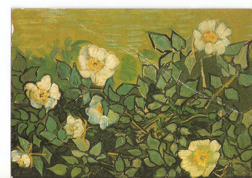 Postal 035386 : Vincent Van Gogh white roses
