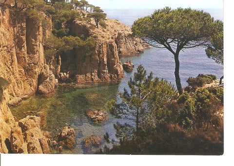 Postal 035408 : Costa Brava cala