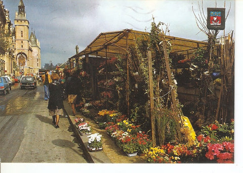 Postal 035493 : Paris. The city island: the flowers market