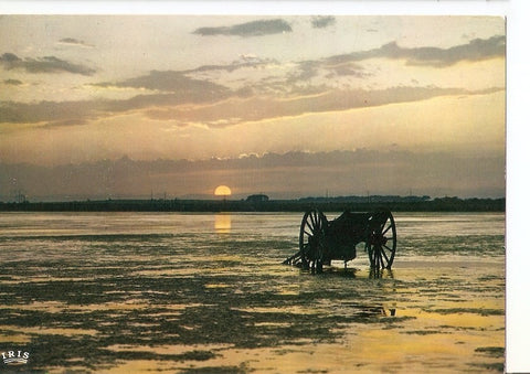Postal 035494 : Coucher de soleil sur letang de Thau. Cote Mediterraneenne