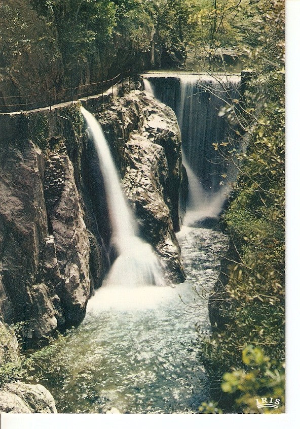 Postal 035499 : Amelie-Les-Bains (P.-O.). Dans les Gorges du Mondony la Cascade dAnnibal