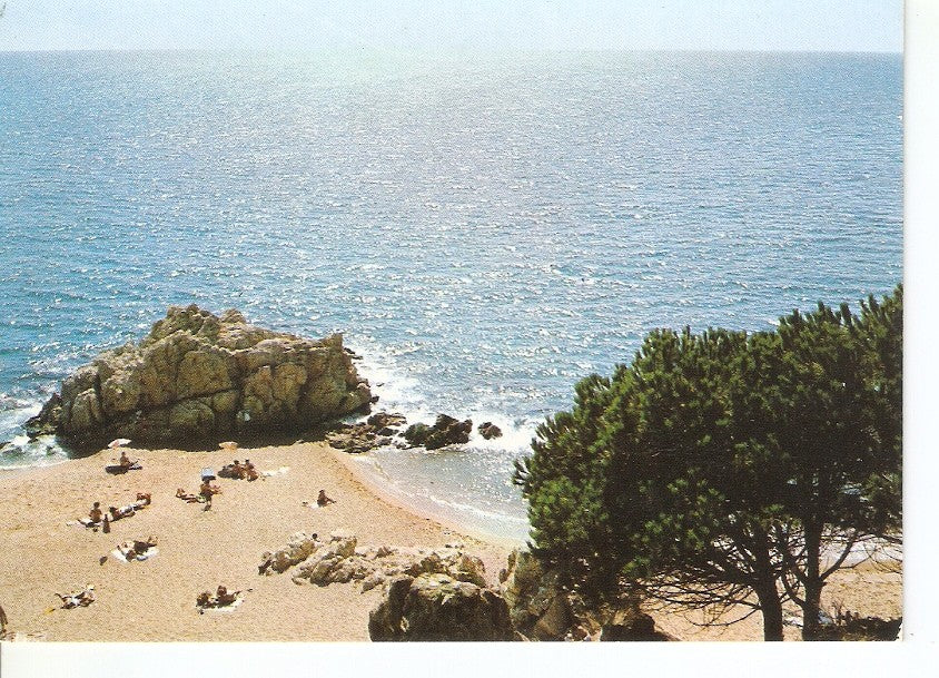 Postal 035513 : Sant Pol de Mar. Roca de la Cabra