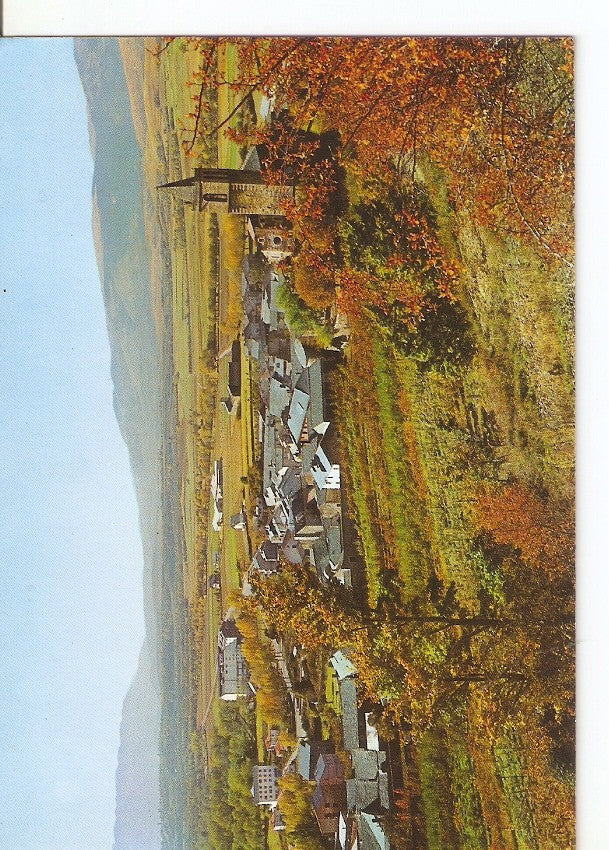 Postal 035527 : Pirineos Orientales. Cerdaña Llivia. Vista general