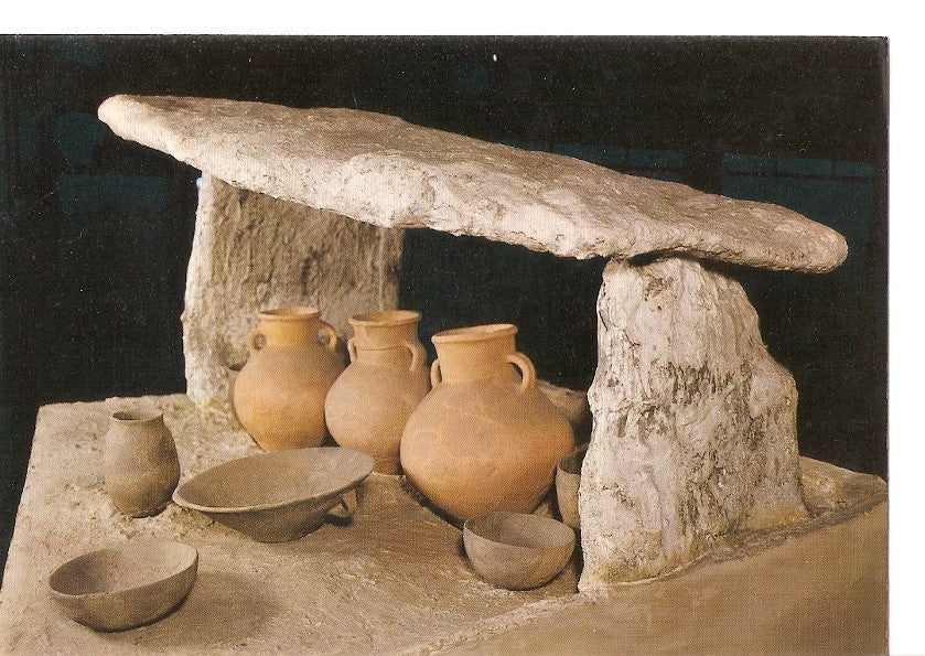 Postal 035532 : Museu Arqueologic de Barcelona. Tomba de la necropolis hallstattica dAguilana