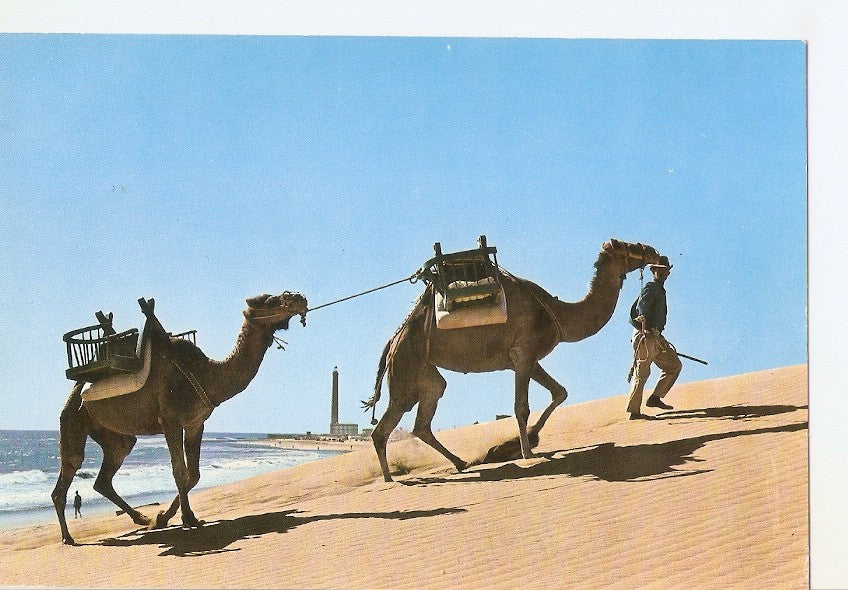 Postal 035544 : Gran Canaria. Faro y Dunas en Maspalomas