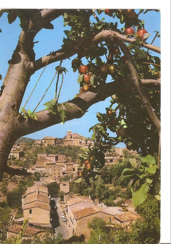 Postal 035554 : Deya. Detalle