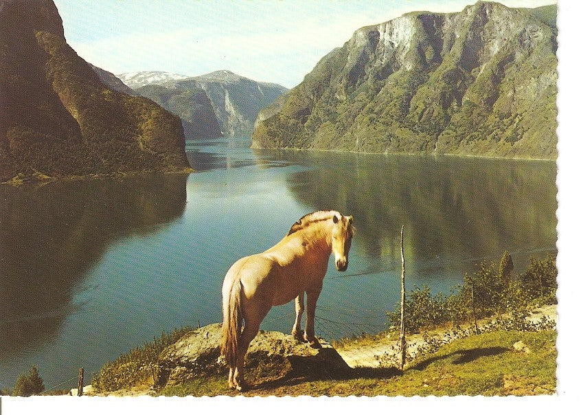 Postal 035652 : Norge - Norway Aurlandsfjorden - Sogn