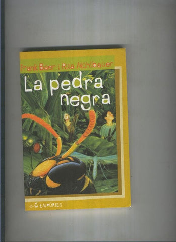 La pedra negra