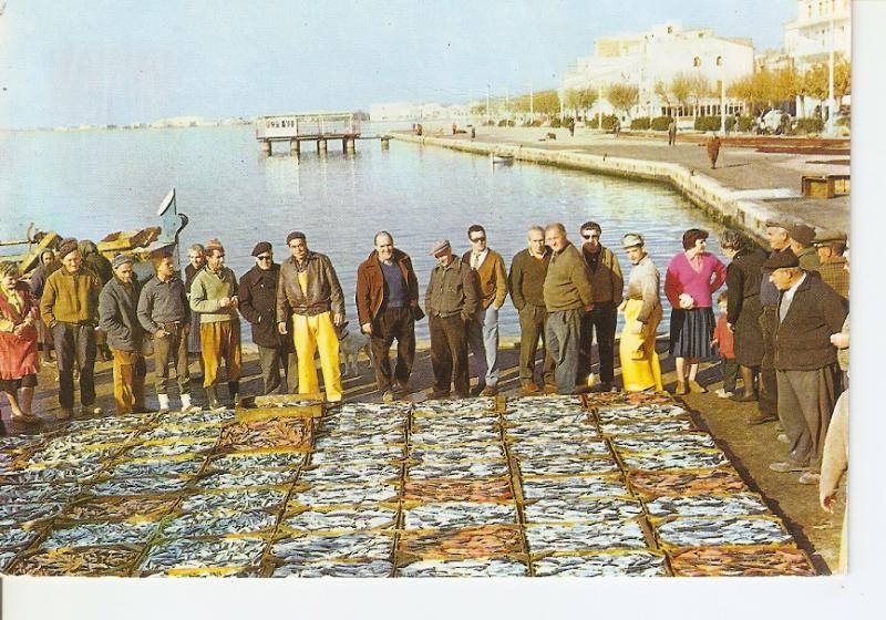 Postal 035604 : Rosas (Costa Brava). Preparando la subasta de pescado