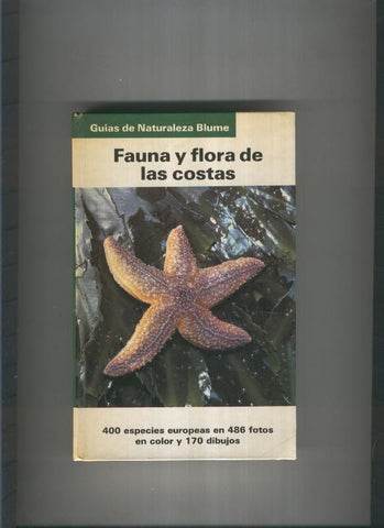 Fauna y flora de las costas