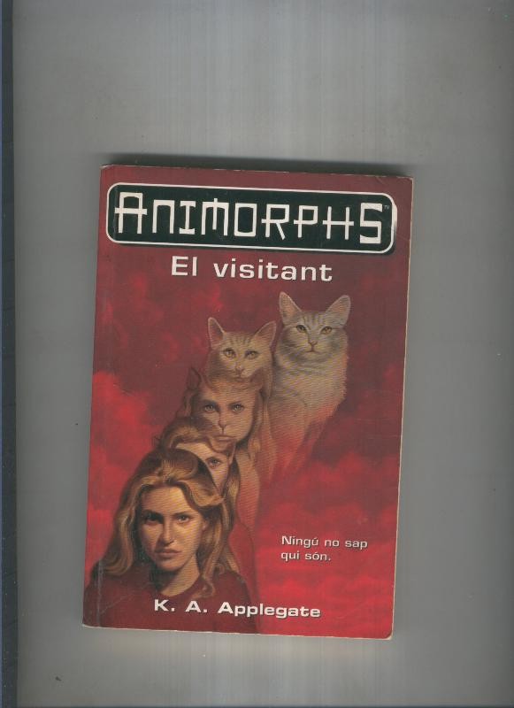 El visitant
