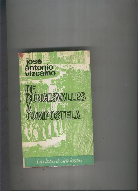 De Roncesvalles a Compostela