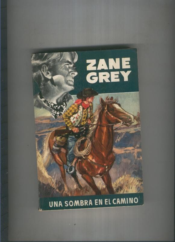 Una sombra en el camino