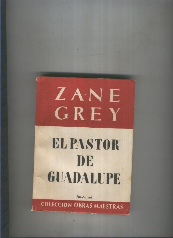 El pastor de Guadalupe