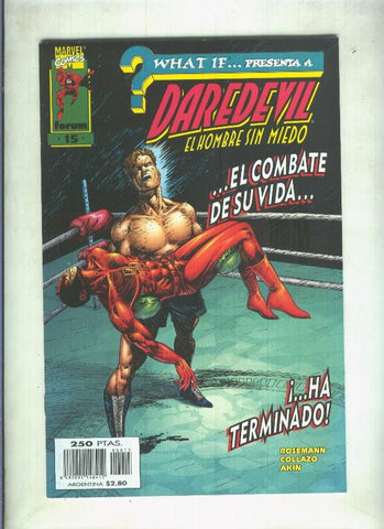 What If vol 2 numero 15: Daredevil el hombre sin miedo