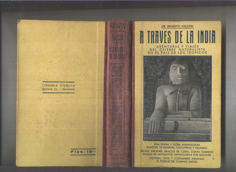 Biblioteca Contemporanea: A traves de la india