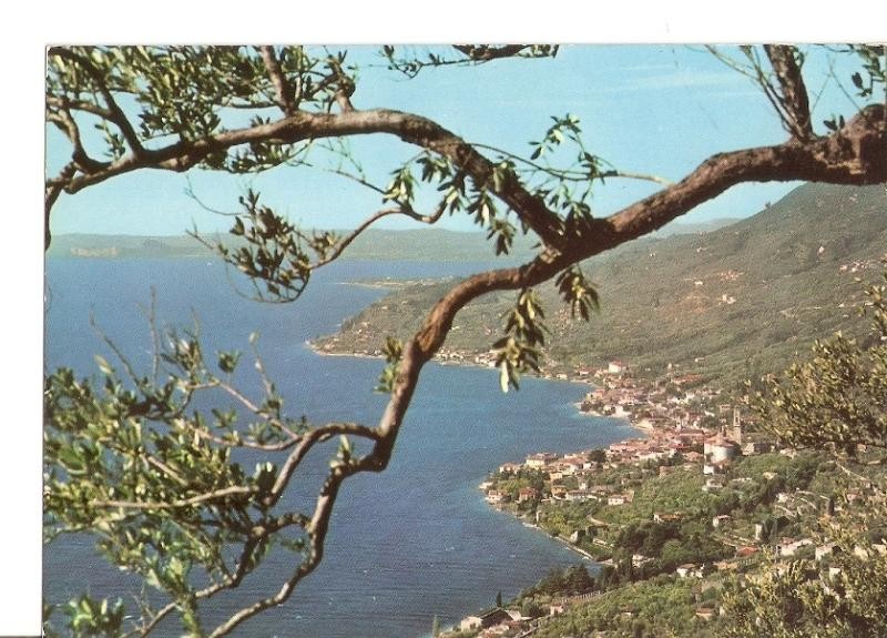 Postal 033856 : Gargnano. Lake Garda. Italia