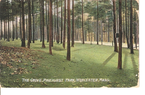Postal 035696 : The Gorve Pinehurst Park. Worcester Mass.