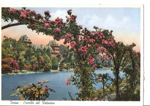 Postal 035718 : Torino - Castello del Valentino