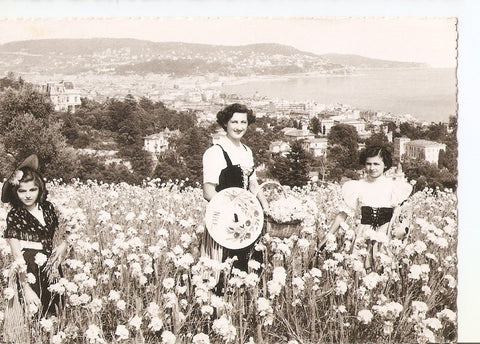 Postal 035742 : Nice - La cueillette des oeillets