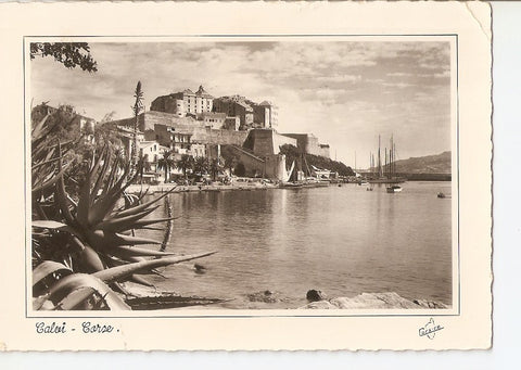 Postal 035782 : La Corse Ile de Beaute- calvi 