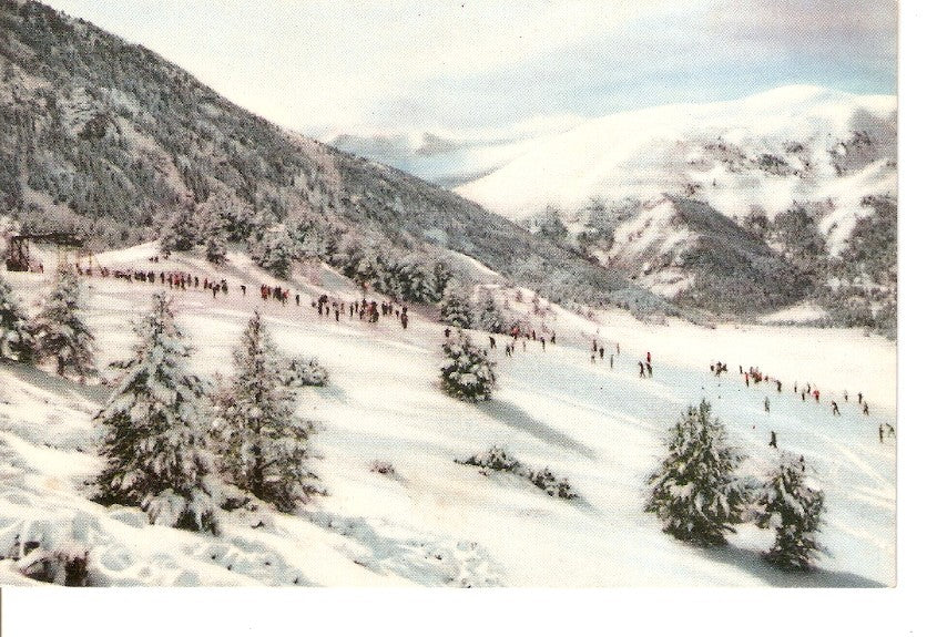 Postal 035795 : Pirineos Orientales. La Molina (Alta Cerdanya). La pista larga