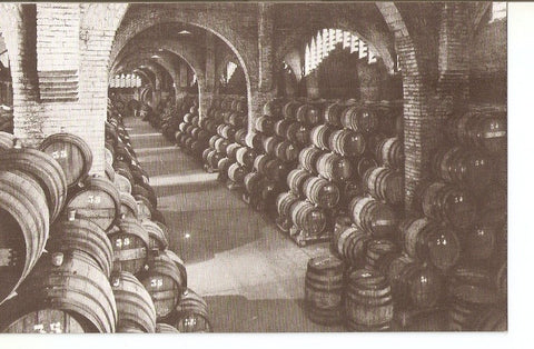 Postal 035803 : Casa Codorniu - San sadurni de Noya (España). Una bodega