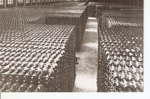 Postal 035804 : Casa Codorniu - San sadurni de Noya (España). Botellas envejeciendo
