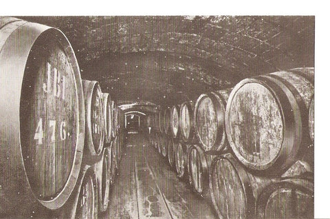 Postal 035805 : Casa Codorniu - San sadurni de Noya (España). Vinos en crianza