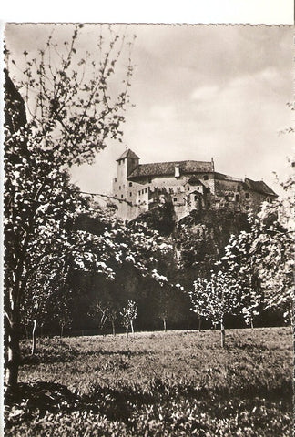 Postal 035826 : Bolzano - Castel Roncolo