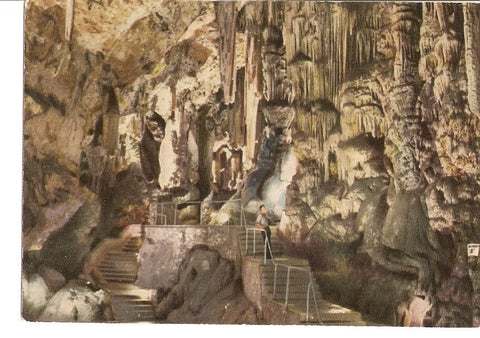 Postal 035850 : St. Michaels Cave Gibraltar