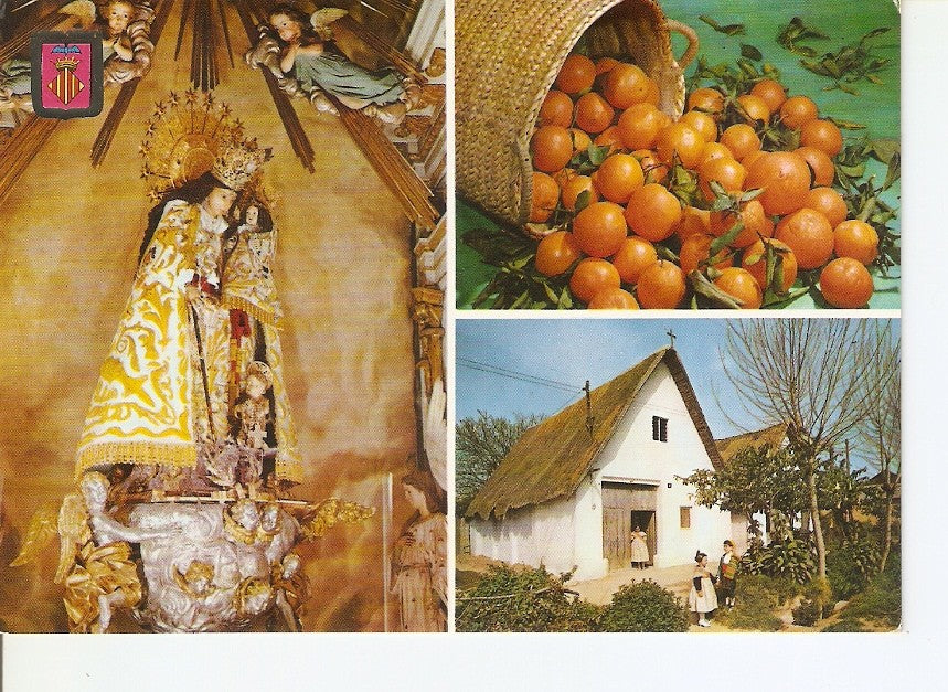 Postal 035878 : Valencia - Ntra. Sra. De los Desemparados. Naranjas. Barracas valencianas