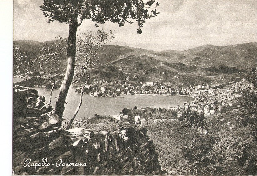 Postal 035906 : Rapallo - Panorama