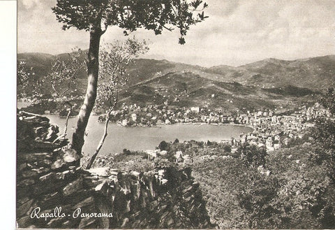 Postal 035906 : Rapallo - Panorama