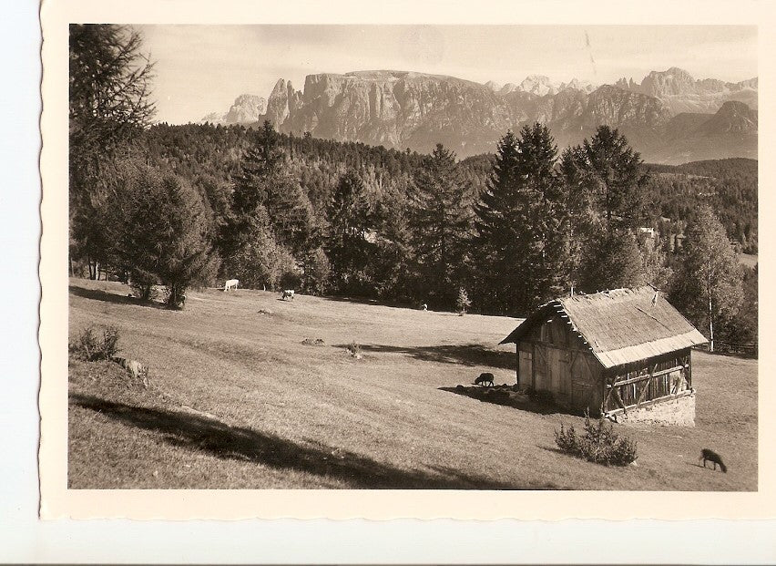 Postal 035907 : Motivo sul renon verso le Dolomiti