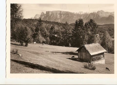 Postal 035907 : Motivo sul renon verso le Dolomiti