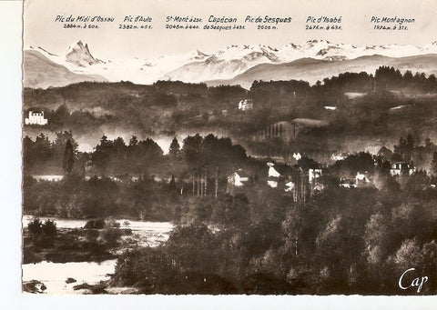 Postal 035924 : Pau. La Caine des Pyrenees