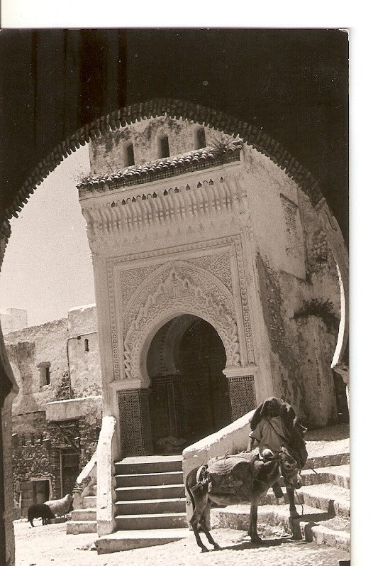 Postal 035949 : Puerta Ceuta en Tetuan