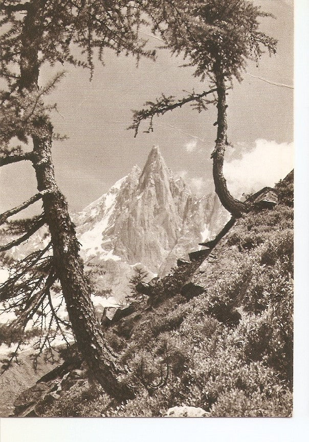 Postal 035968 : Les Alpes. Aiguille des Drus
