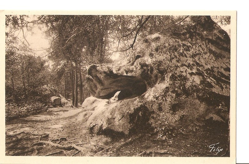 Postal 036040 : Barbizon and its Forest. Gueule du Dragon