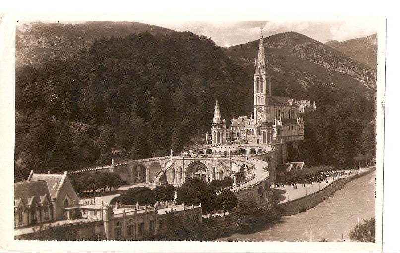 Postal 036043 : Lourdes. La Basilique