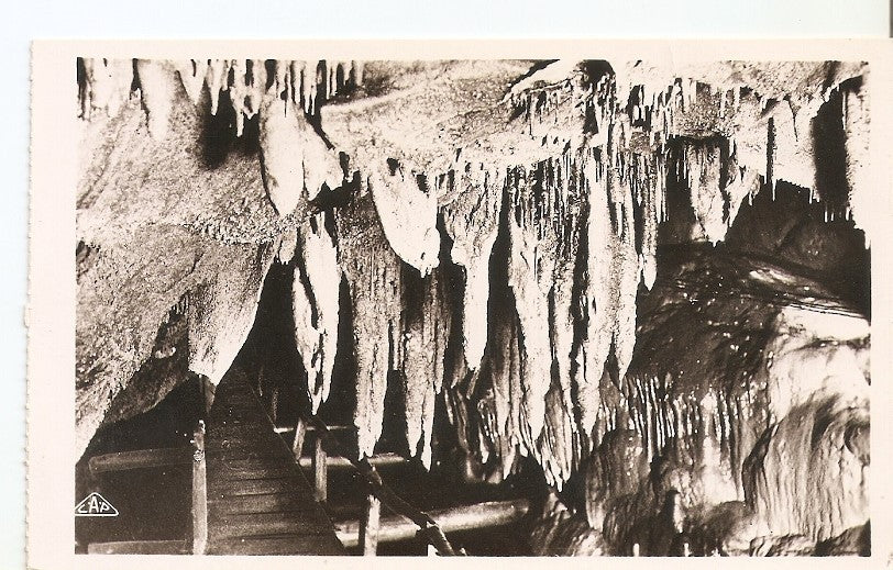 Postal 036045 : Les Grottes de Betharram. Les Larmes figees