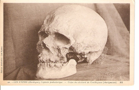 Postal 036048 : Les Eyzies (Dordogne) Capitale prehistorique - Crâne du vieillard de Cro-Magnon (Aurignacien)