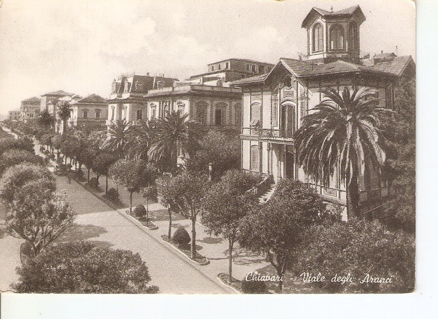 Postal 036054 : Chiavari - Viale degli Aranci. Orangen Allee