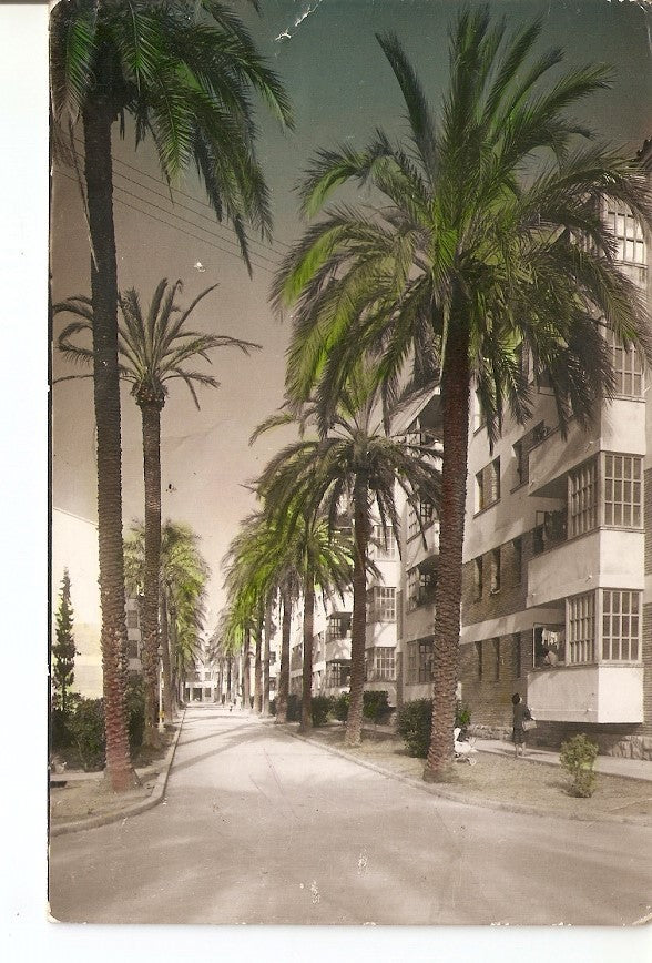 Postal 036063 : Reus. Urbanizacion Fortuny. Quartier Fortuny
