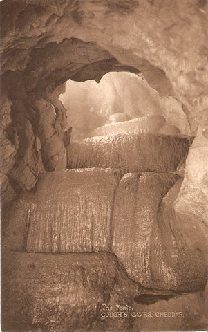 Postal 036169 : The Fonts. Goughs Caves Cheddar