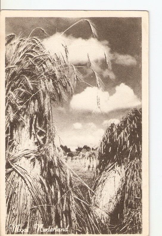 Postal 036172 : Nederland